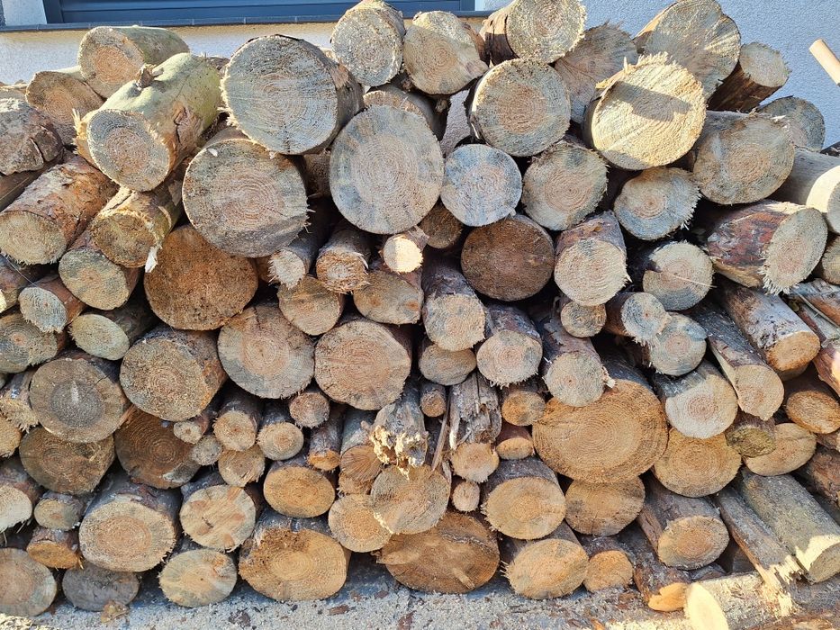 SOSNA Drewno opałowe