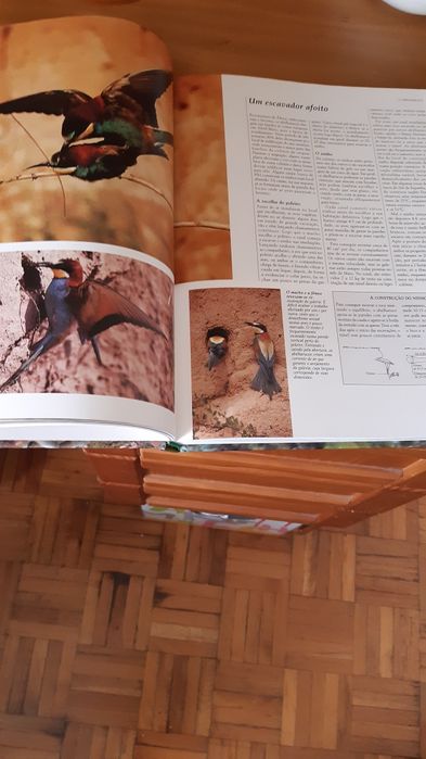 Livros Vida Selvagem