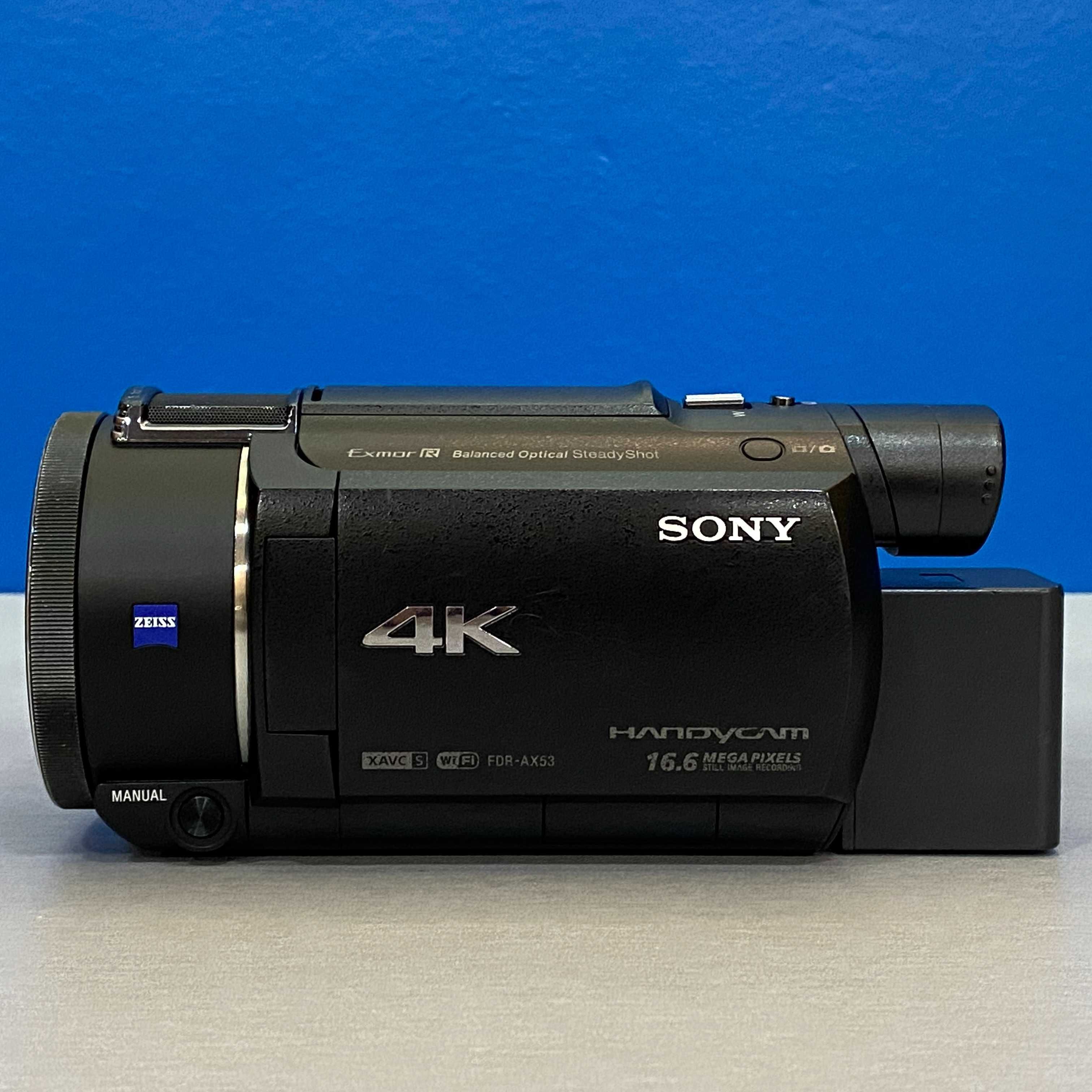 Sony FDR-AX53 (4K - 20x Optical Zoom)