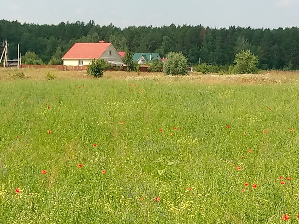 Продажа 28 соток земли возле леса в Блиставица.