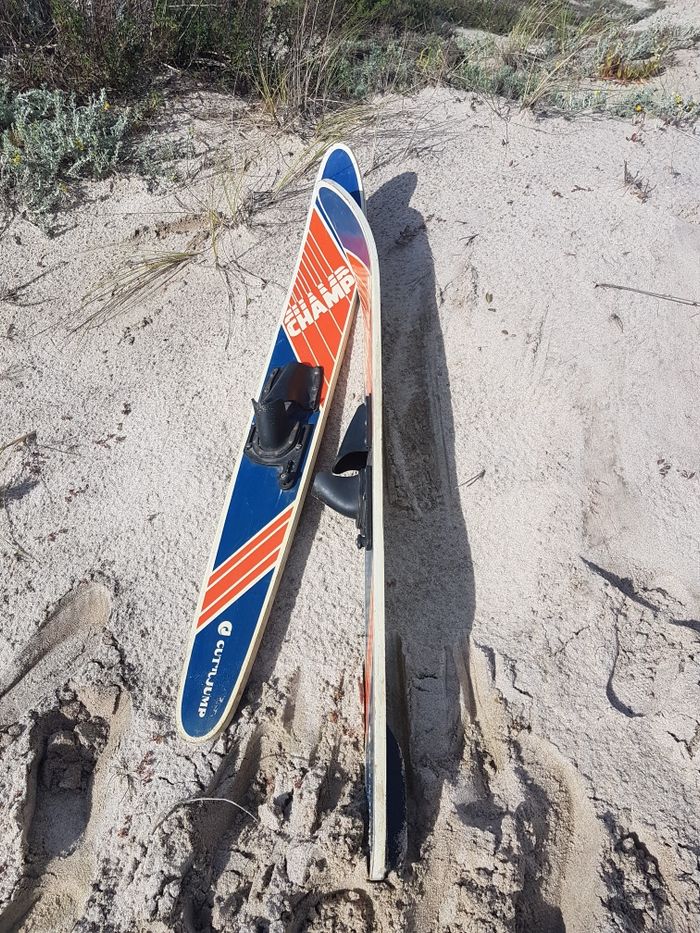 Skis Vintage