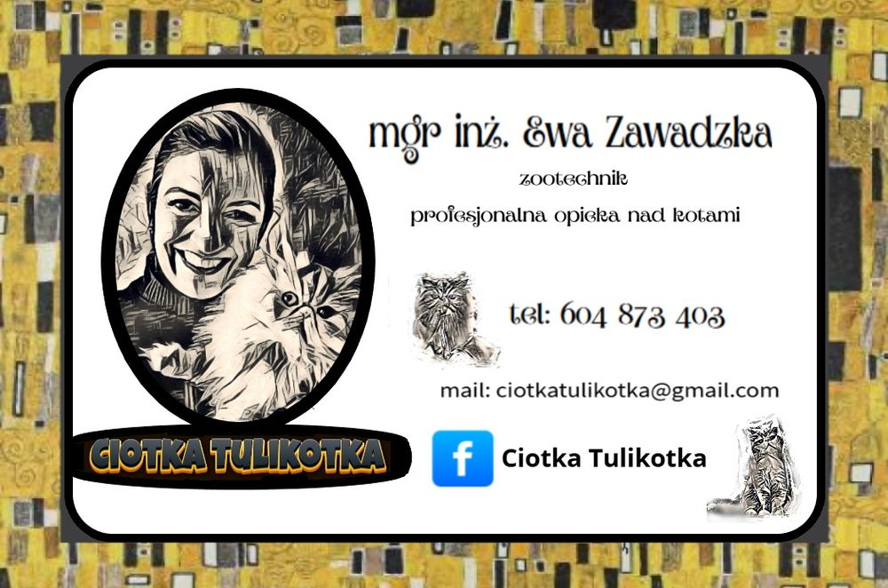 Profesjonalna opieka nad kotami