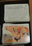 Cromos Dragon Ball z 1