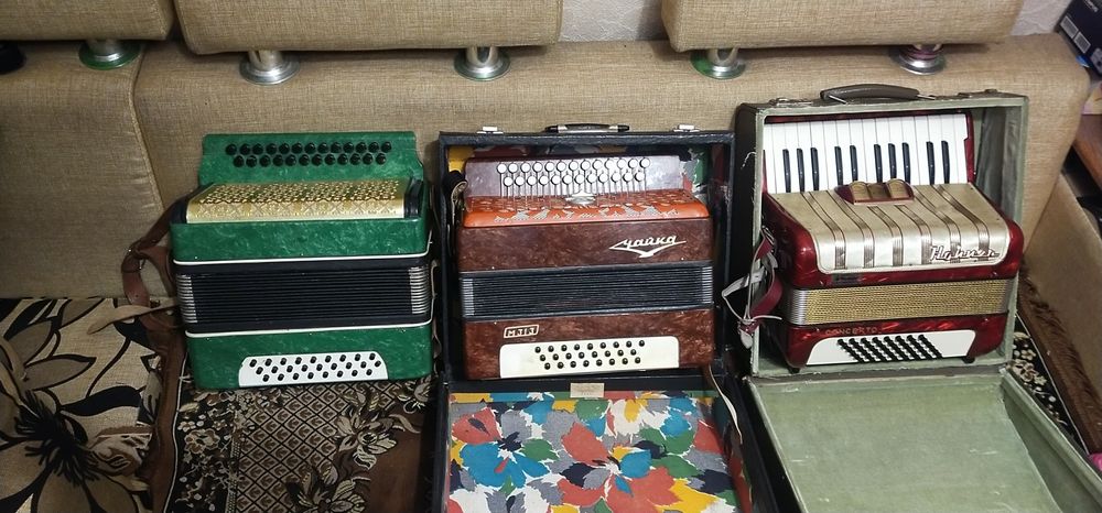 Гармошка 25/25 зеленого кольору.