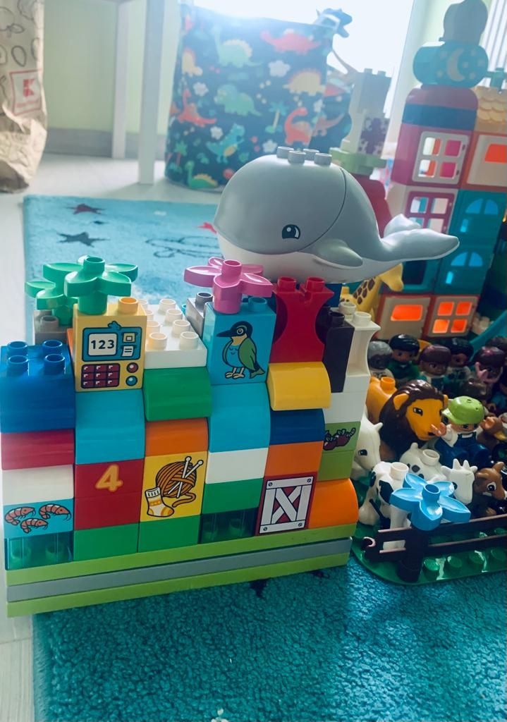LEGO Duplo różne rodzaje klocków