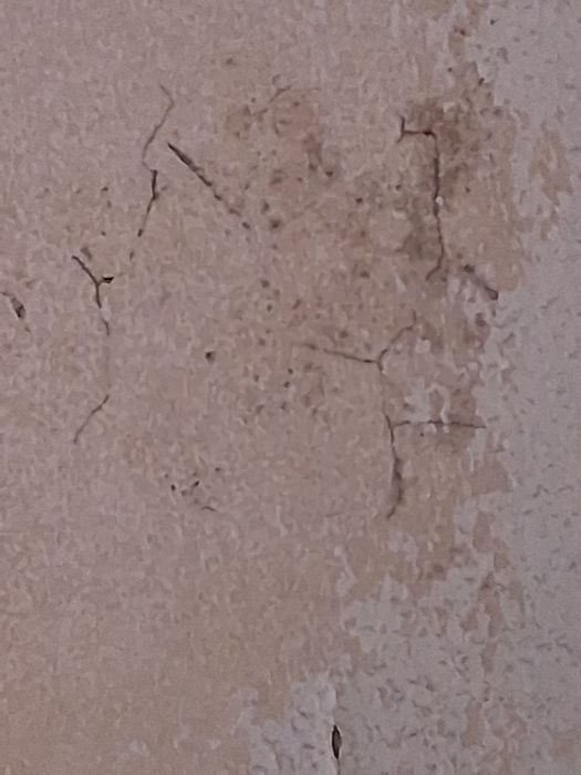 Faço qualquer tipo de serviços ao domicílio nas zonas de Aveiro ilhavo