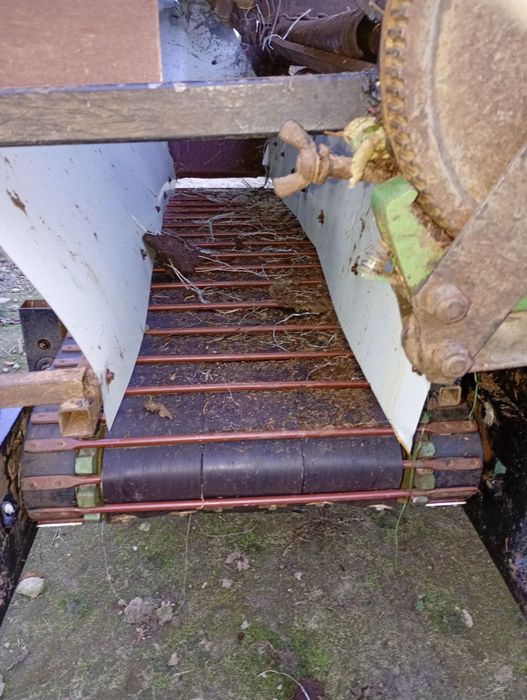 Rozrzutnik sadowniczy. Do podłoża pieczarkowego trociny