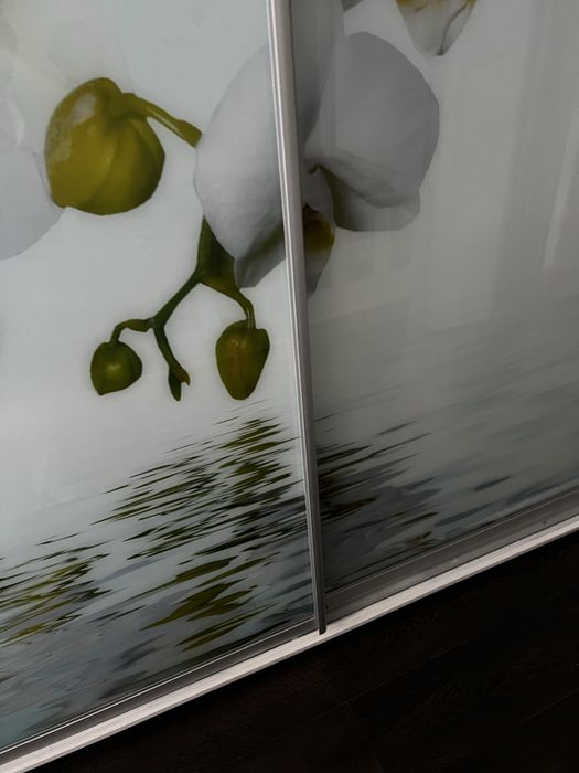 Продам шафу-купе б/у із орхідеями