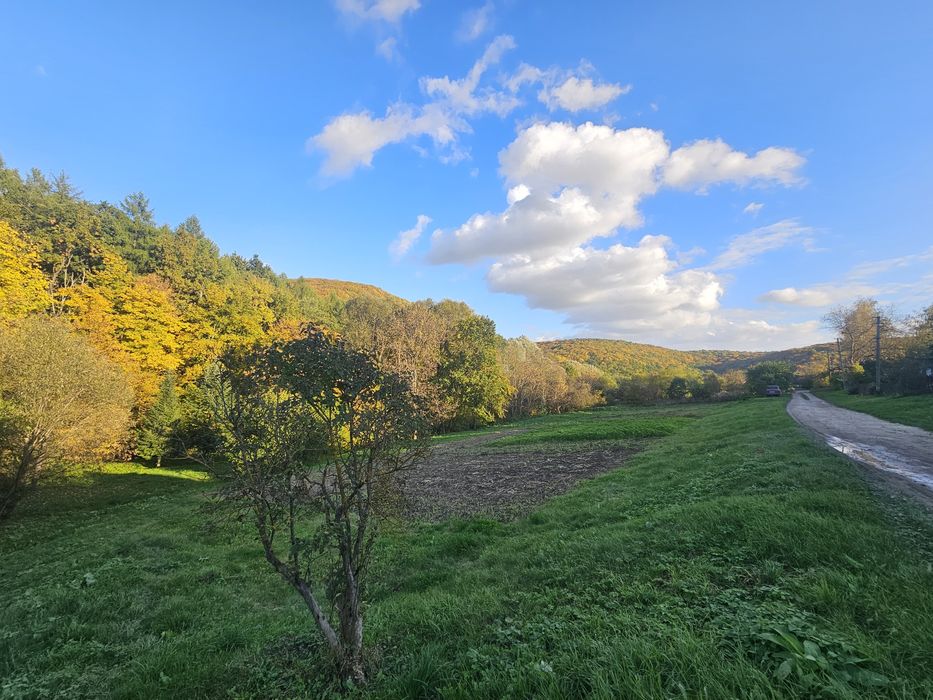 Продаж земельної ділянки з будинком. С. Світле.