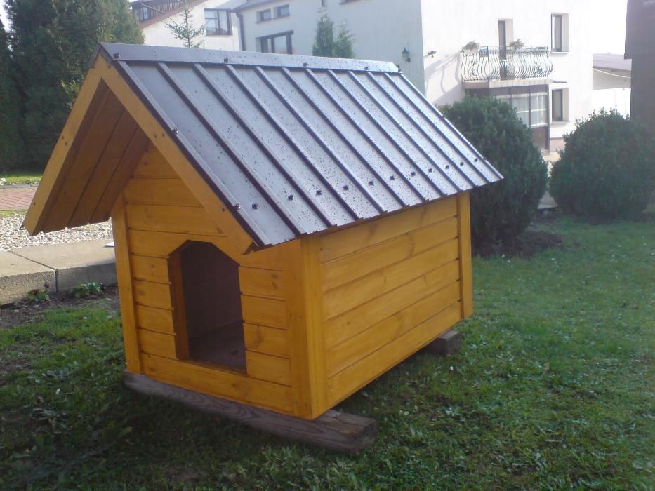 Buda dla psa srednia