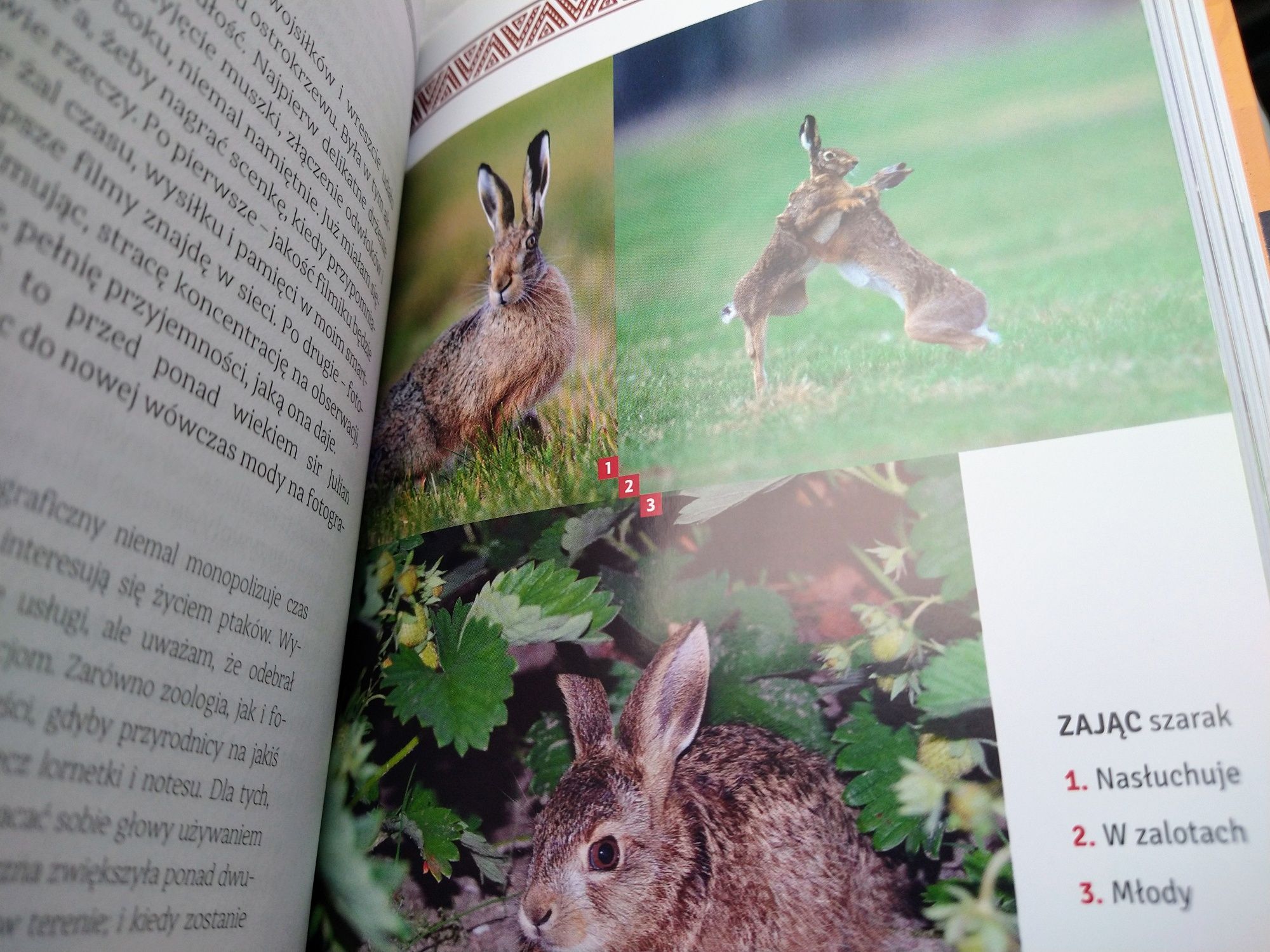 Safari za progiem domu . Super książka!