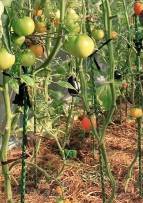 Арматура 7мм Композитна Стеклопластикова . Дуги, стержни для растений