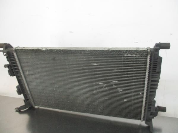 Radiador de água RENAULT Scénic III (JZ0/1_)
