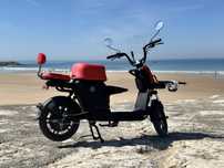 Bicicleta electrica Bee - para desocupar