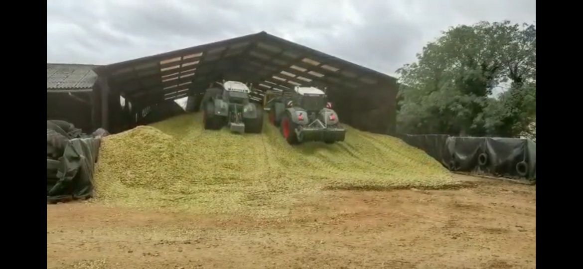 Usługi rolnicze Siew trawy zbiór traw siew kukurydzy wywóz obornika