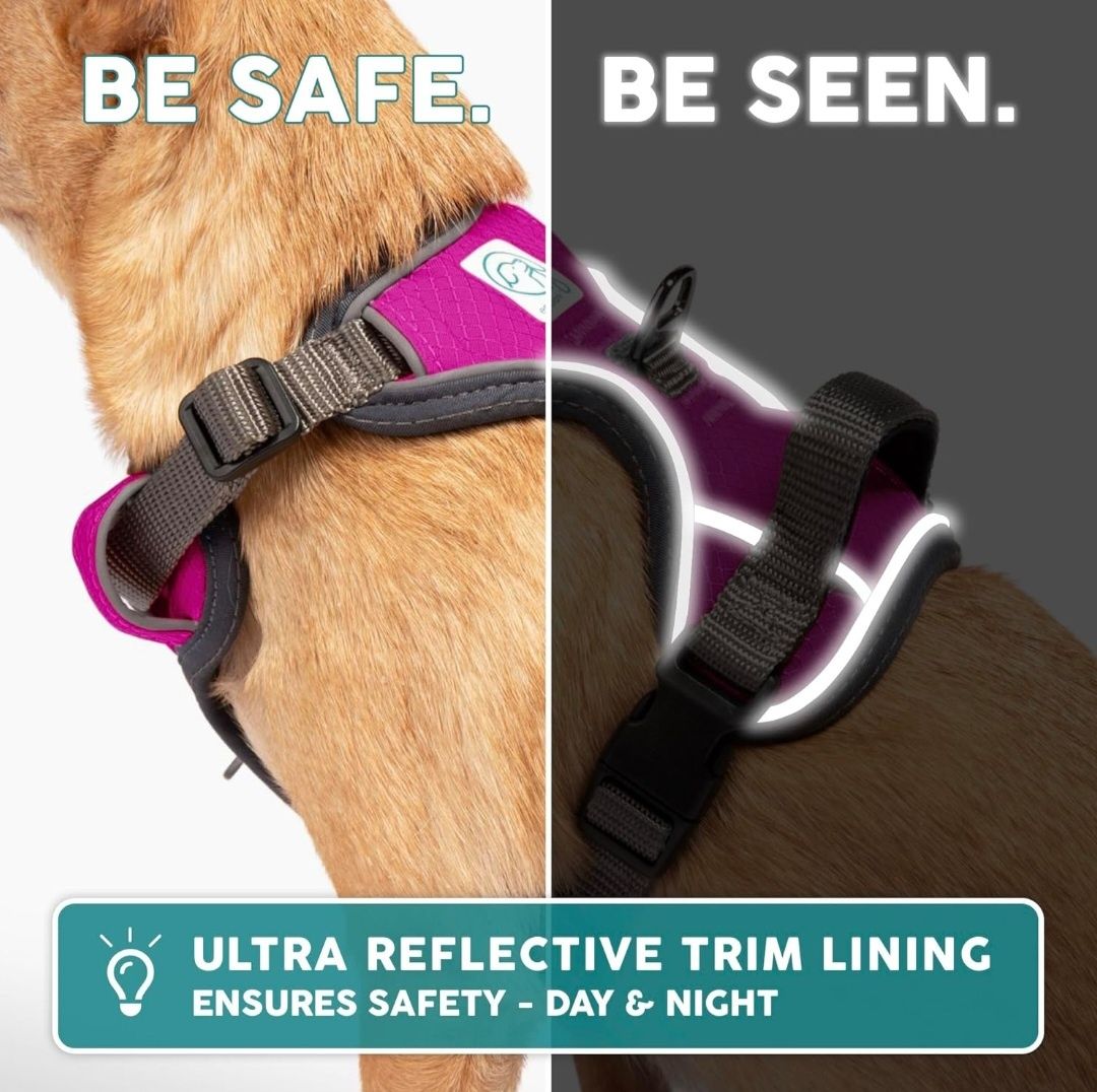 Embark Pets Adventure Szelki dla psa