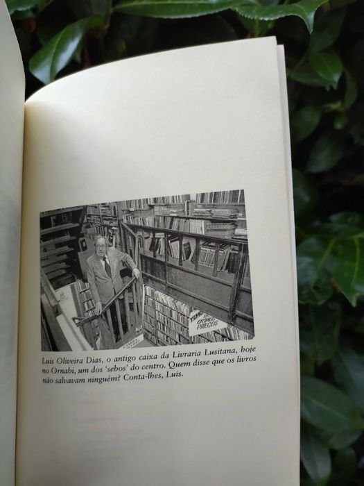 Avenida Paulista (João Pereira Coutinho)