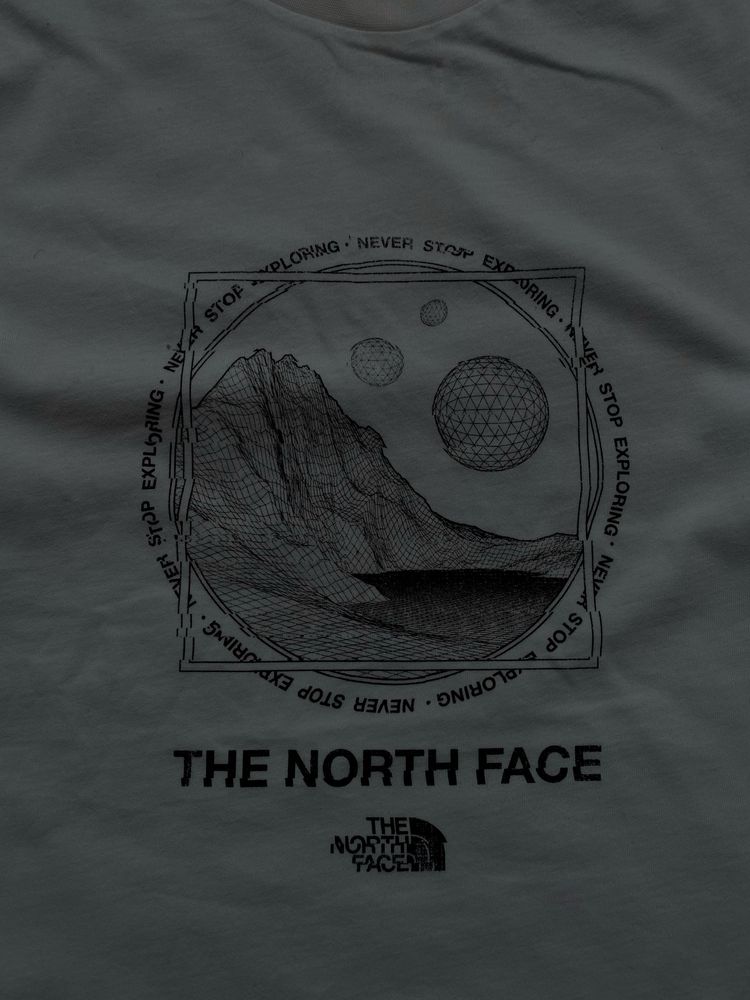 Футболка жіноча The North Face з логотипом/Нові колекції/Оригінал