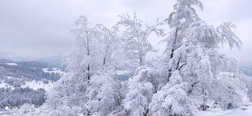 Domek na wyłączność w górach. ŚWIĘTA, SYLWESTER, FERIE, BALIA, JACUZZI