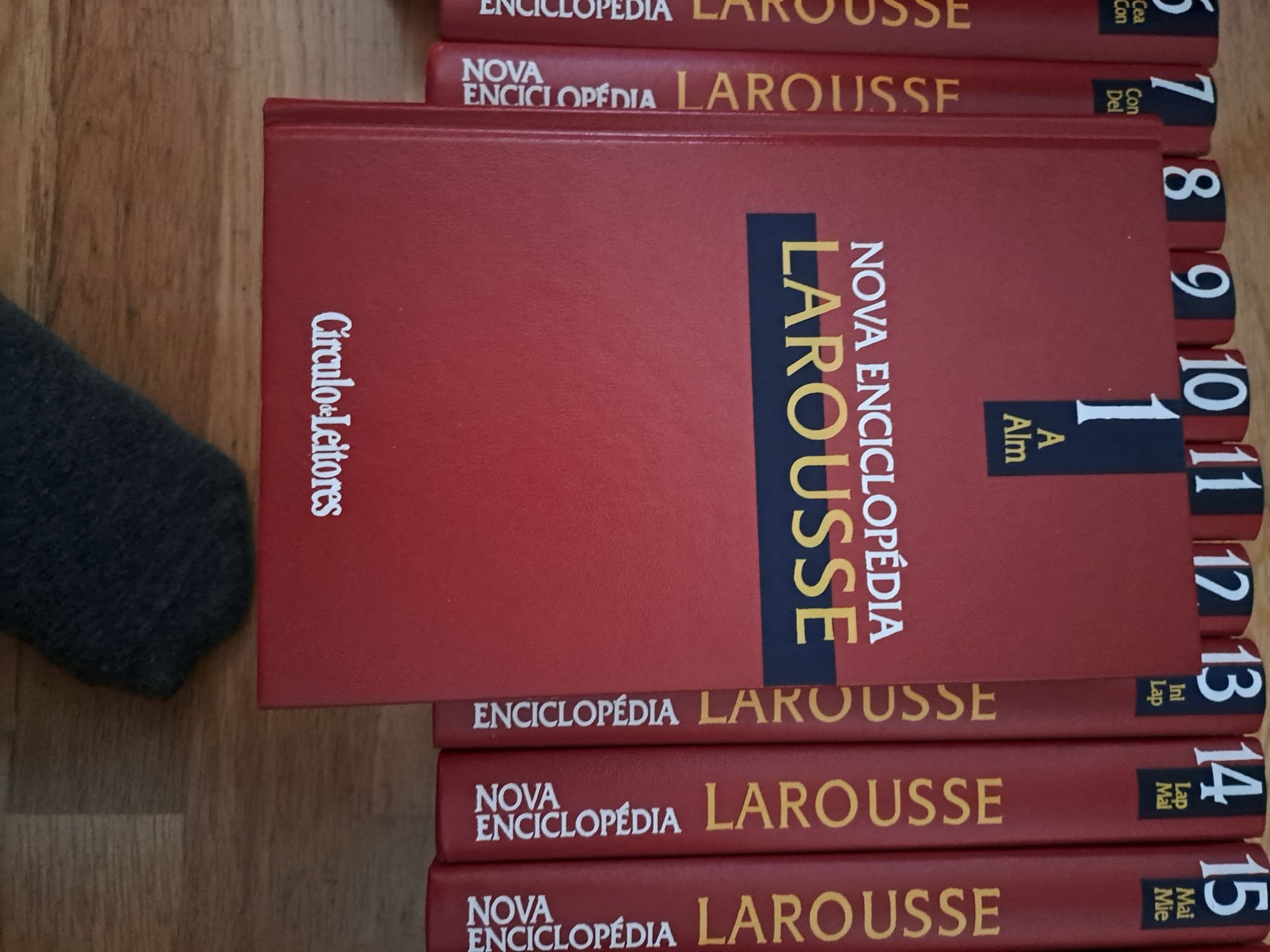 Nova Enciclopédia LAROUSSE 22 livros