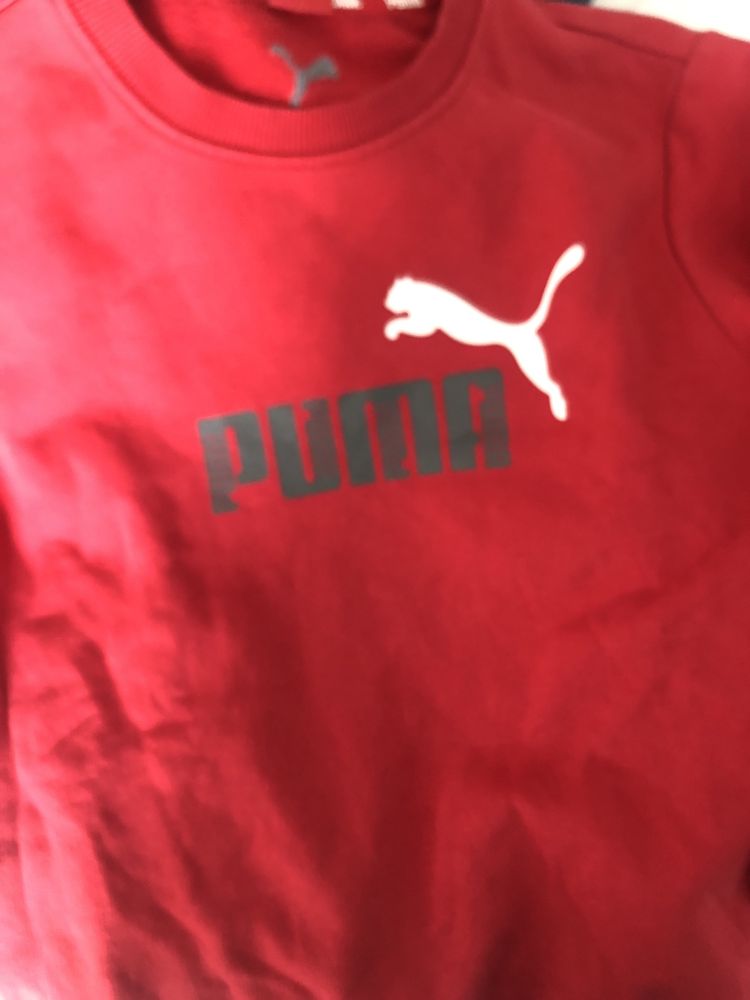 Camisola Puma 12 anos