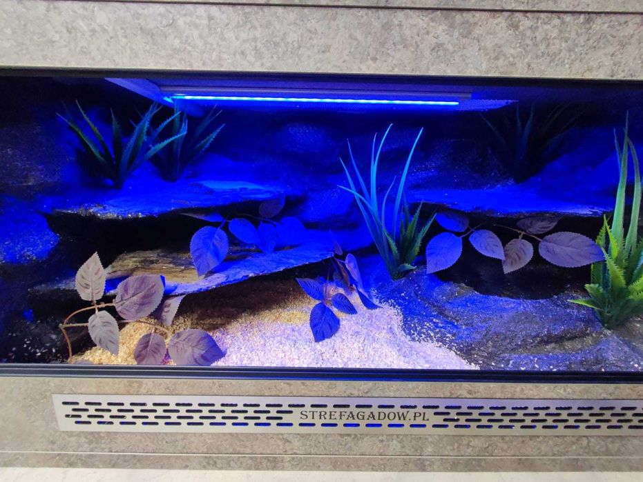 Terrarium tropikalne nr666 80/40/40 dla węża boa pyton NA ZAMÓWIENIE