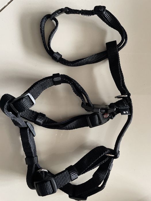 Trixie stay szelki rozmiar s-m