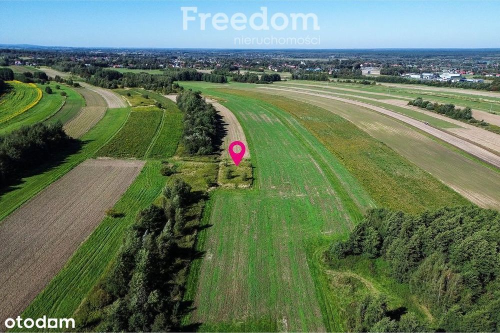 Działka rolna 15 ar – Trzciana, gmina Świlcza