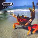Prodigy – The Fat Of The Land vinyl платівка