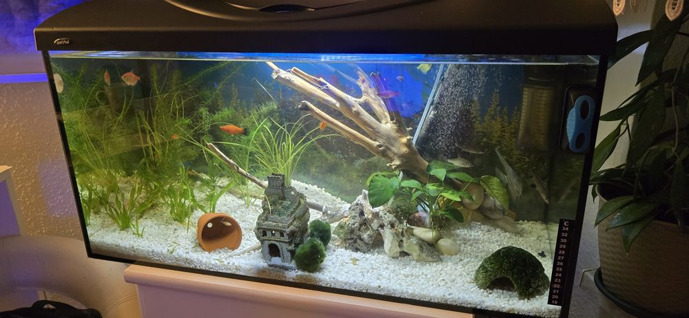 Akwarium 80x50x50 200 litrów