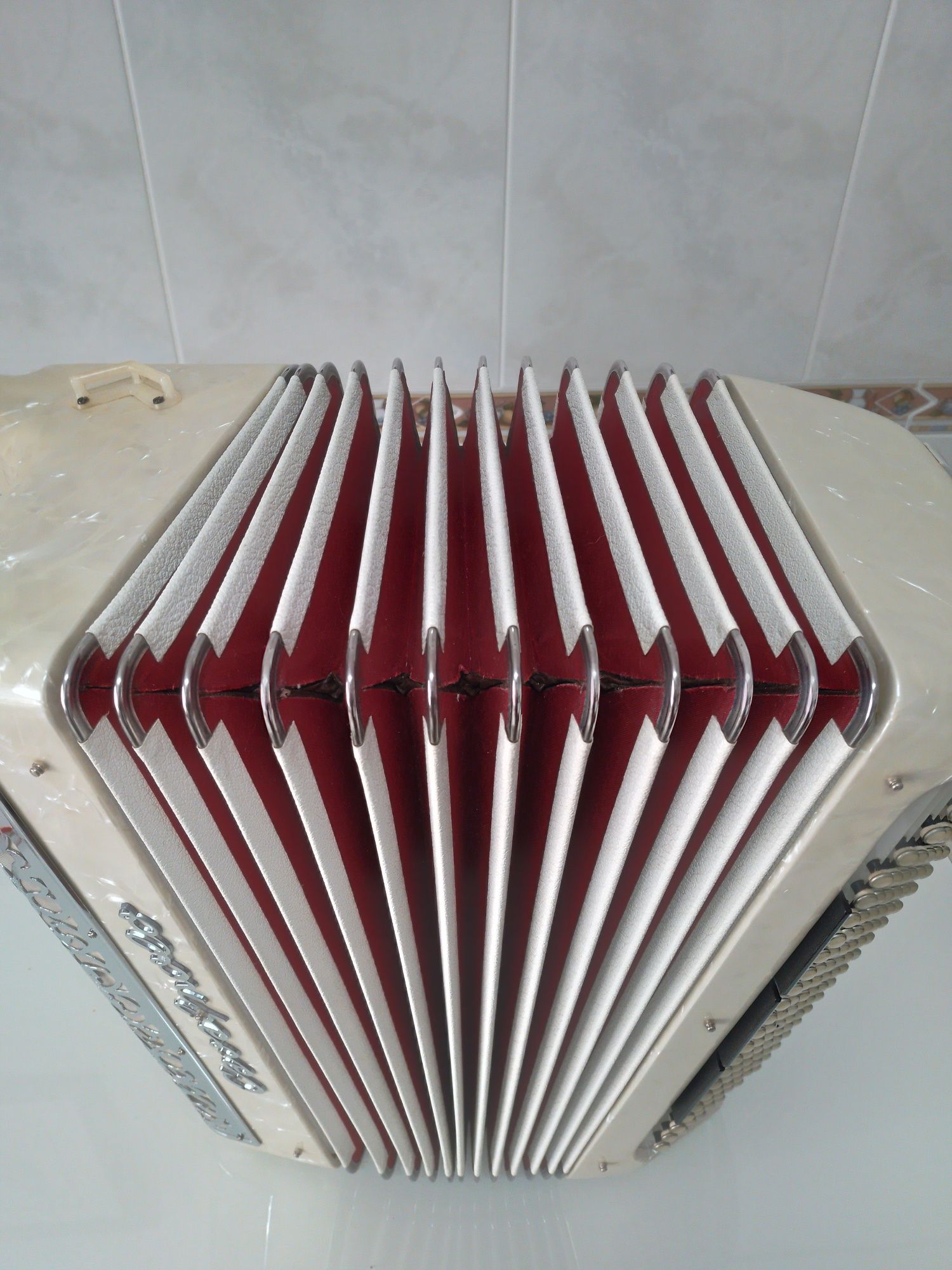 Acordeon/Acordeão  Cavagnolo