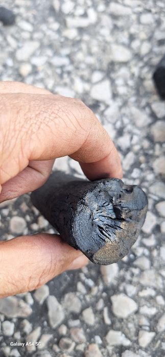 Carvão vegetal marabú