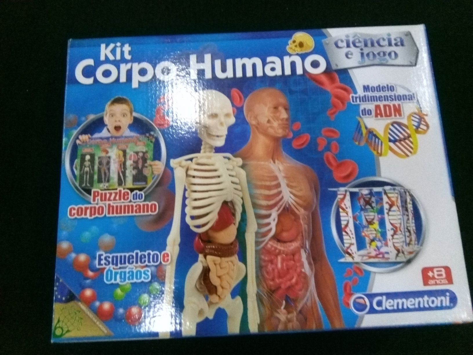 Kit corpo humano