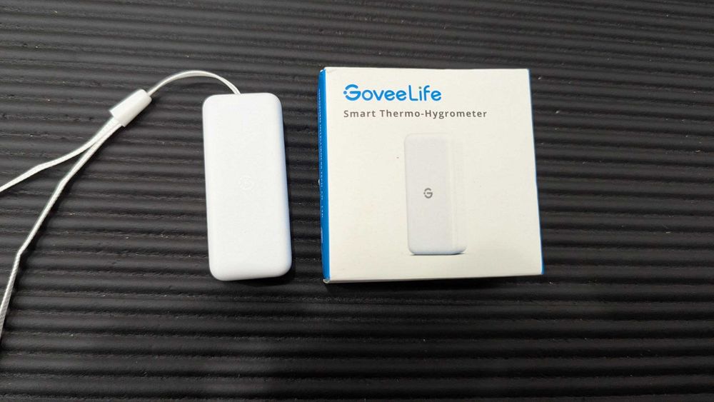 Датчик температури та вологості GoveeLife H5100 Bluetooth для дому