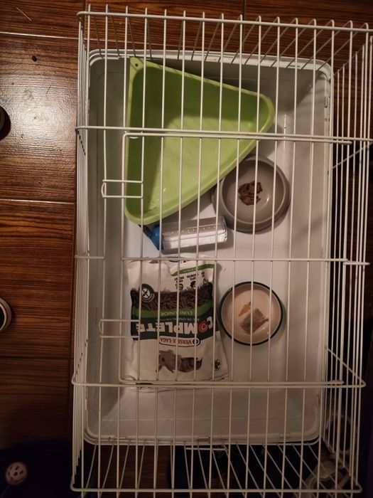 Acessórios de coelho bebê