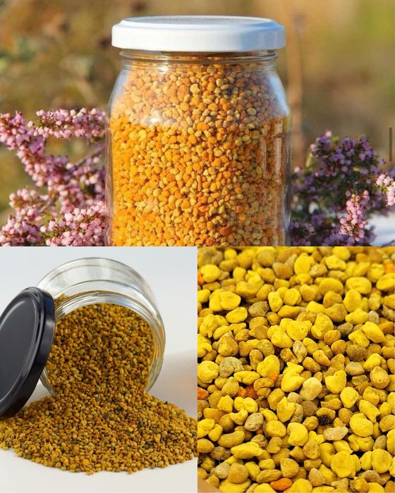 Naturalny miód: akacja, lipa, wielokwiat, leśny i gryka – od 20 zł/kg