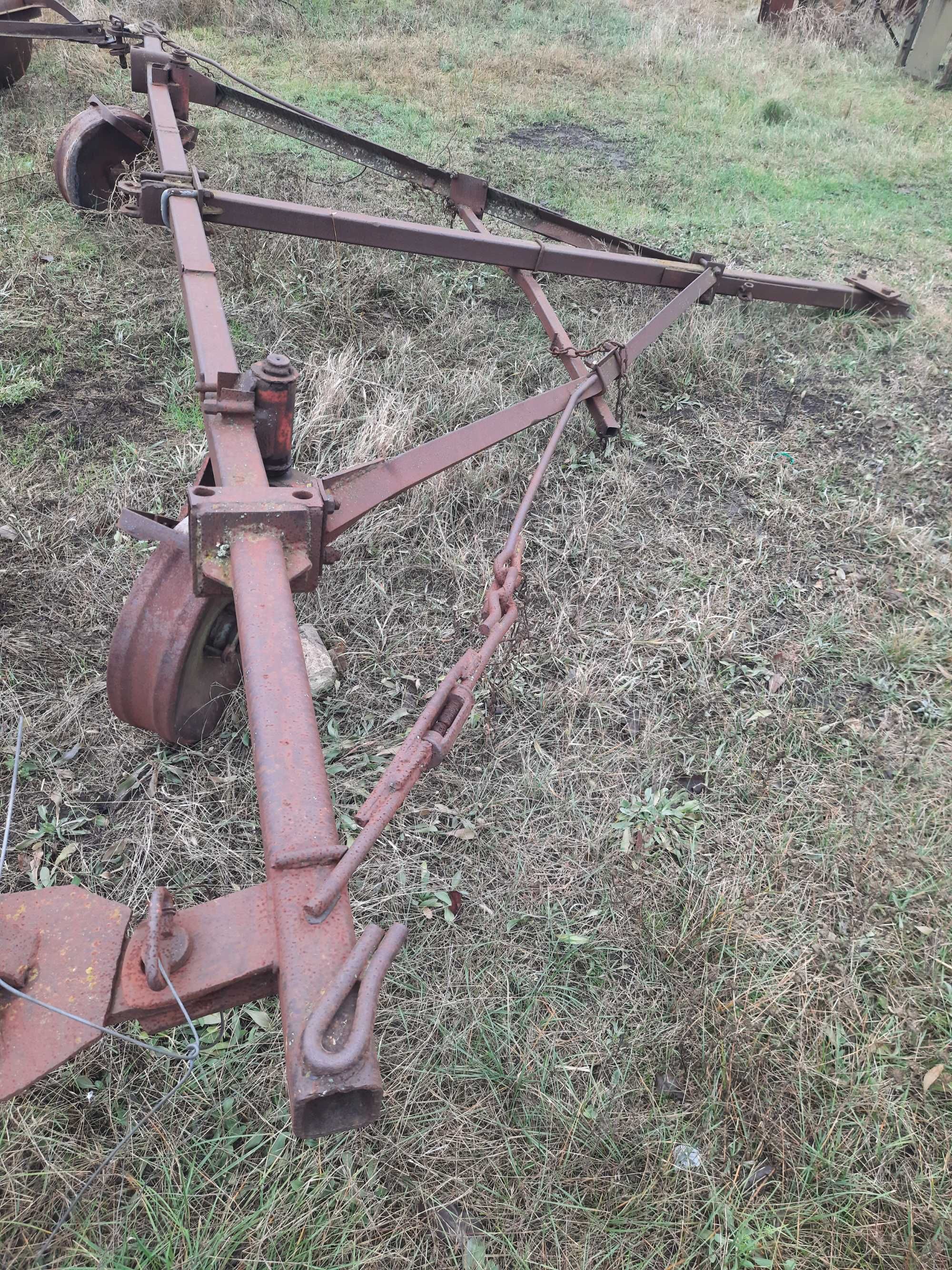 Продам котки гладкі 6 шт