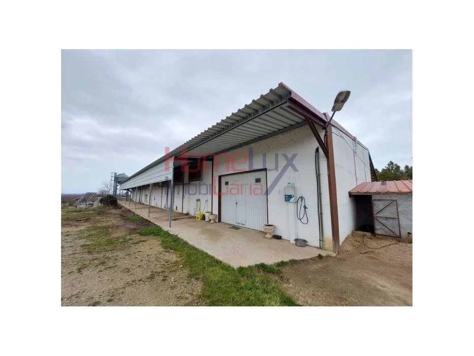 Negócio de Cunicultura para venda em Sabugal, Guarda