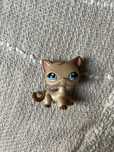 Littlest Pet Shop kot shorthair #1024 LPS