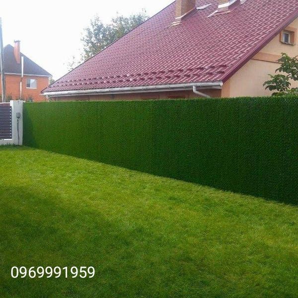 Декоративний зелений паркан