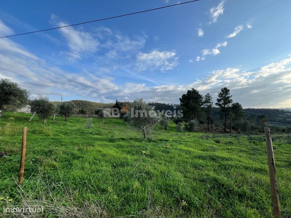 Terreno com PDM com 14240 m2 - Carril, Tomar