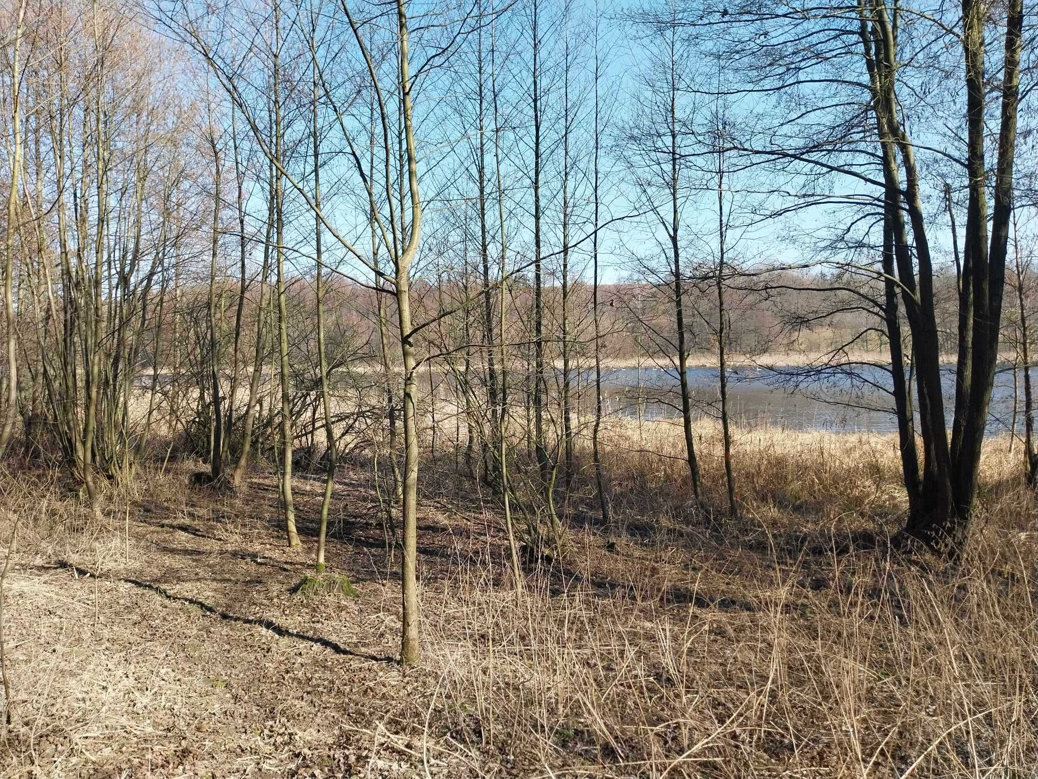 Działka budowlano-rekreacyjna 2900m2 nad jeziorem z linią brzegową