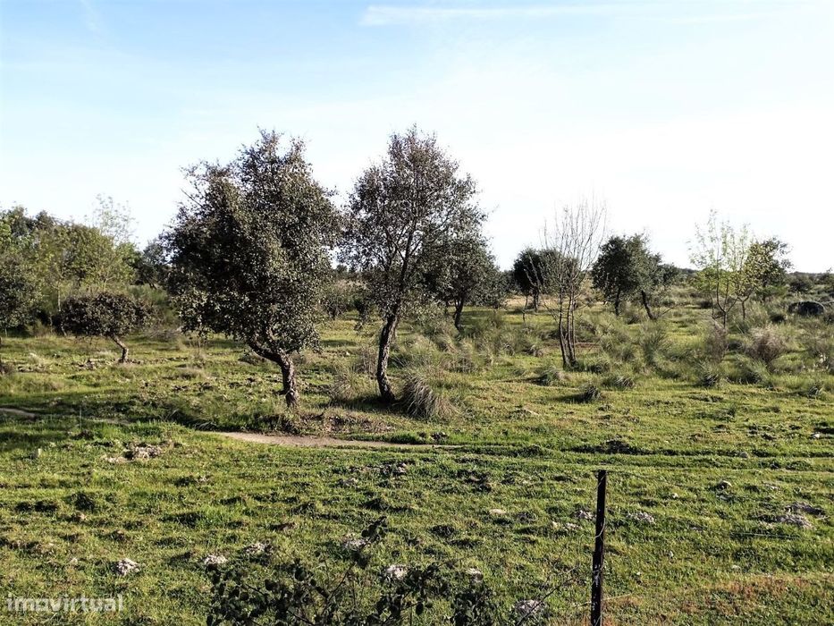 Terreno