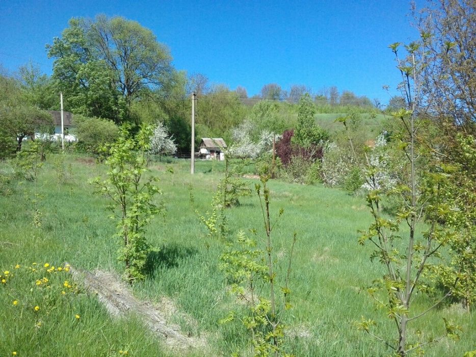 ТЕРМІНОВО!Продам земельну ділянку  в селі Сокілець!