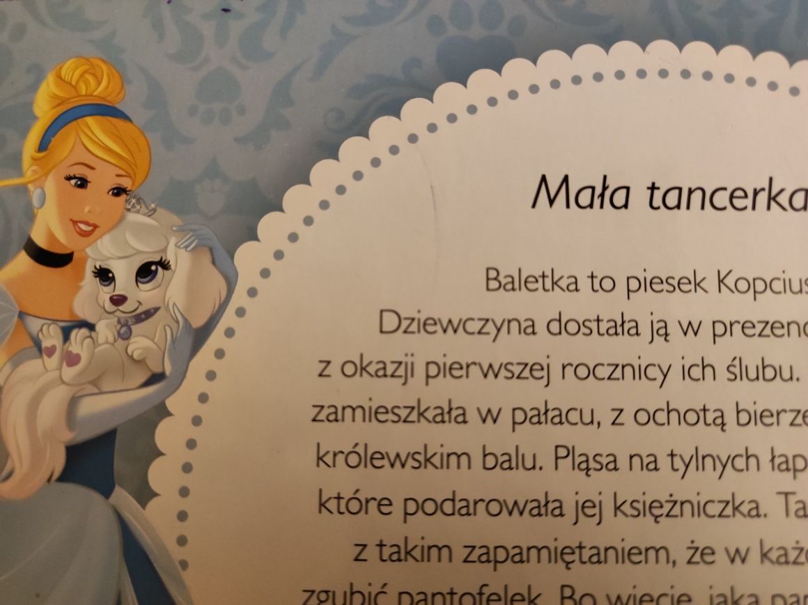 Księżniczki - książka z puzzlami. Mali ulubieńcy księżniczek.