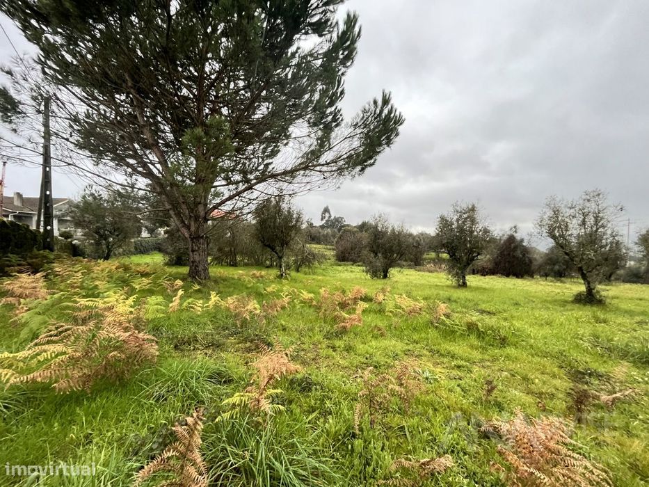Terreno  Venda em Silgueiros,Viseu