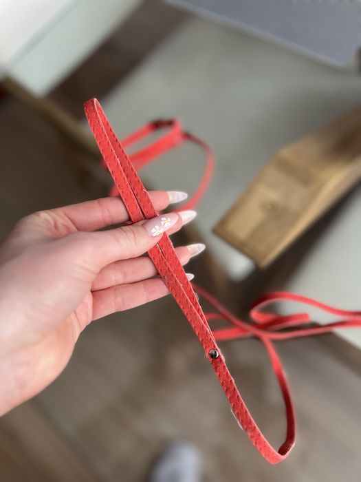 повідець для котика чи маленької собачки