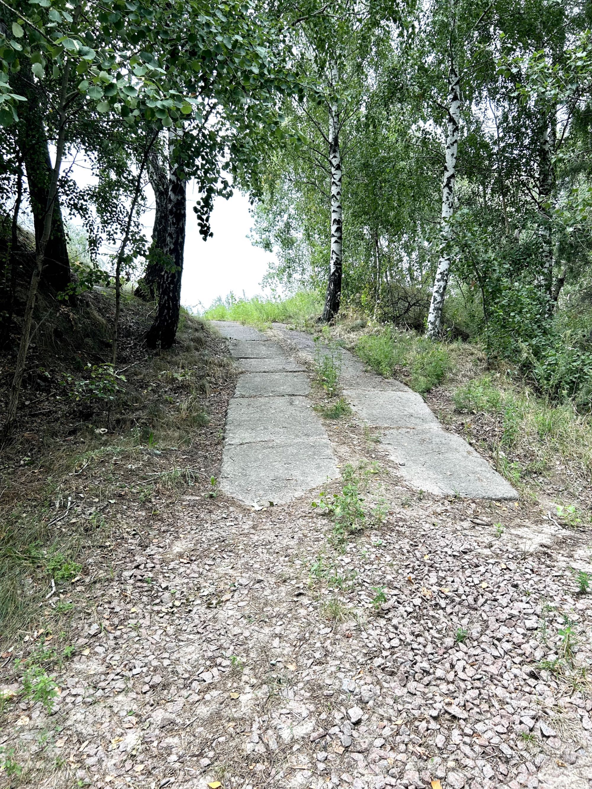 Продам ДІЛЯНКУ під забудову, Київська обл, Вишгород р-н, СТ «Чайка».