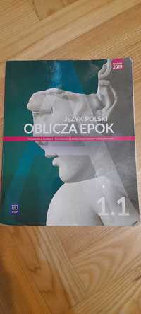 J.polski-Oblicze Epoki 1.1,wyd WSiP