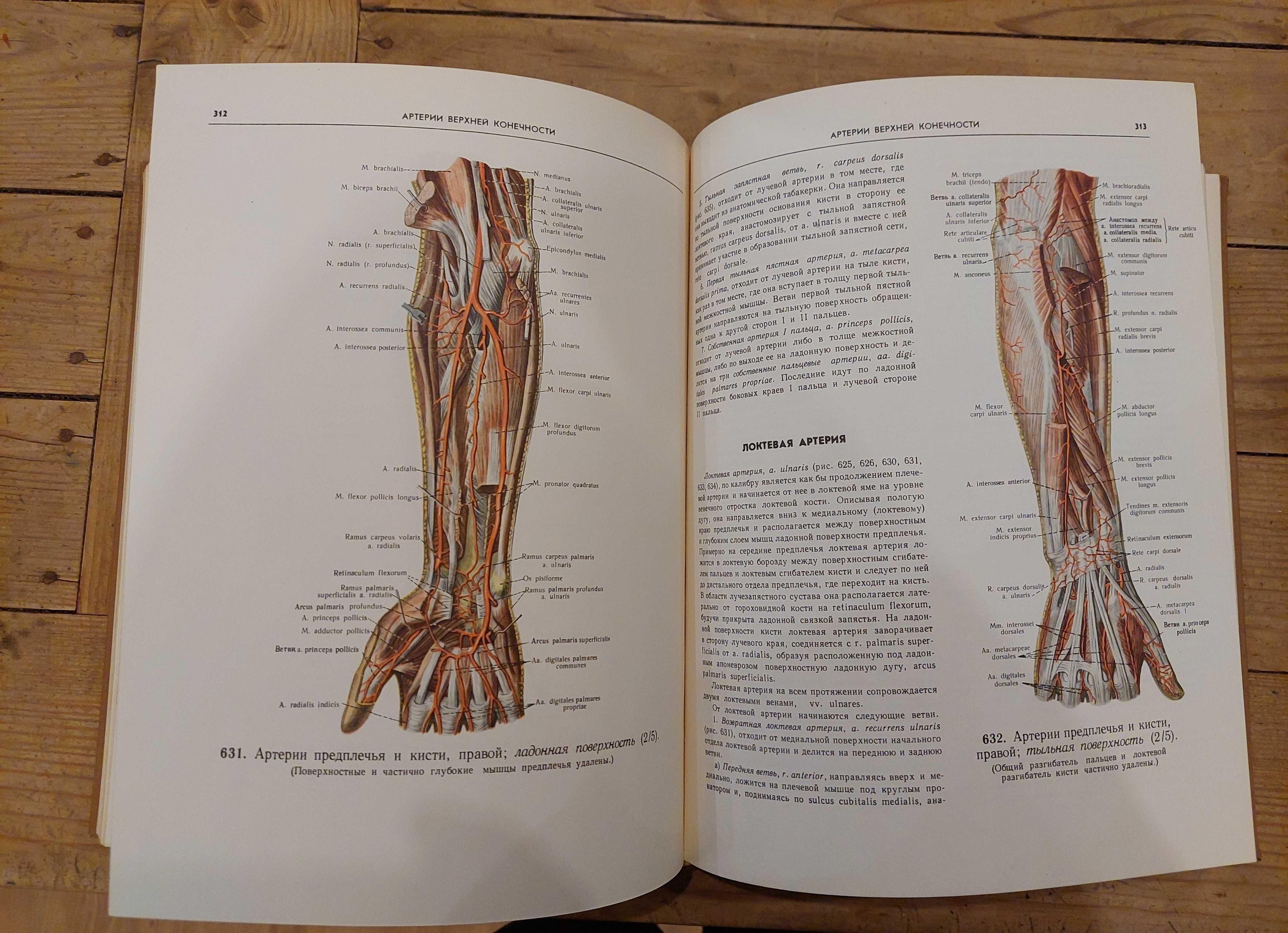 Atlas anatomii człowieka (trzy tomy), R.D. Sinielnikow